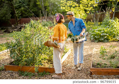 Farmers harvesting at home garden Farmers harvesting at home garden 96799035