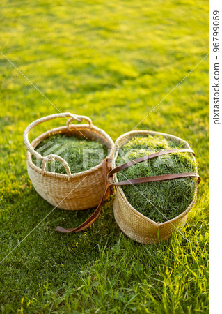 Mowed grass in a straw baskets Mowed grass in a straw baskets 96799069