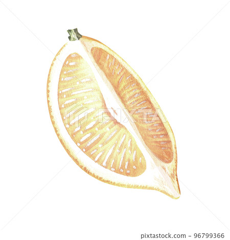 A quarter of a lemon. A piece of citrus. Watercolor illustration. Isolated on a white background.For your design stickers, nature prints, product packaging with citrus acid or scent, kitchen utensils A quarter of a lemon. A piece of citrus. Watercolor illustration. Isolated on a white background.For your design stickers, nature prints, product packaging with citrus acid or scent, kitchen utensils 96799366