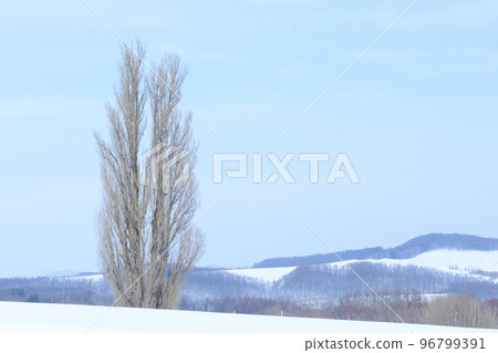 Furano snow scene 96799391