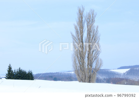 Furano snow scene 96799392