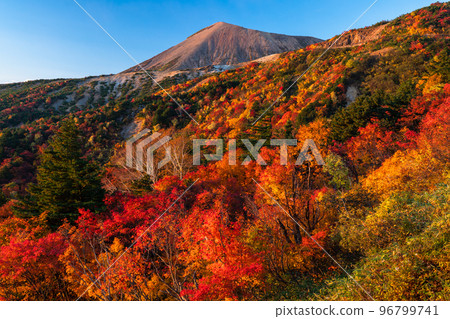 《Fukushima Prefecture》Autumn Tengu Garden・Autumn Bandai Azuma Skyline 《Autumn leaves at its peak》 96799741