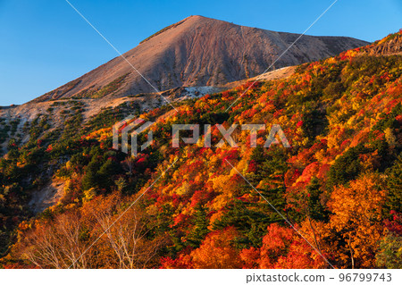 《福島縣》秋天的天狗庭園・秋天的萬代東天際線《紅葉盛開》 96799743