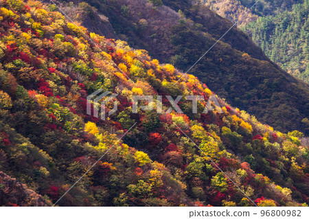 《Tochigi Prefecture》A view of Mt. 96800982