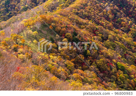 《Tochigi Prefecture》A view of Mt. 96800983