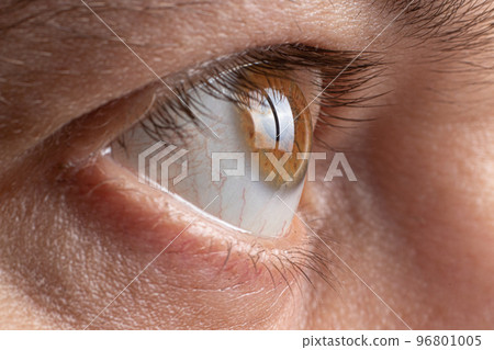 Macro photo of the male eye is brown. Healthy Human Eye 96801005