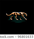 Panther In The Savannah A wild cat, panther or puma walks at a slow pace through their domain. 96801633