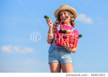 Organic vegetables. Natural vitamin nutrition. Vegetables market. Girl cute child farming. Gathering vegetables in basket. Village rustic style. Sunny day at farm. Selling homegrown food concept 96801801