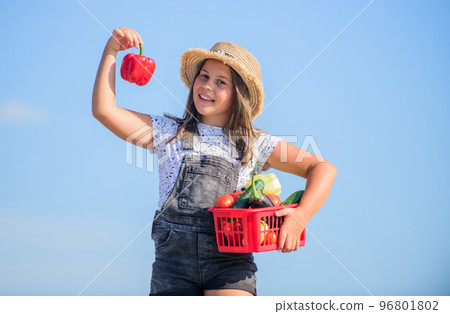 Made right choice. kid on summer farm. Organic food. little girl vegetable in basket. Only natural. little farmer. autumn harvest. harvest vitamin. spring market garden. healthy food for children Made right choice. kid on summer farm. Organic food. little girl vegetable in basket. Only natural. little farmer. autumn harvest. harvest vitamin. spring market garden. healthy food for children 96801802