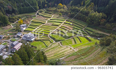 Drone photography of Yamaura Hayamizu Rice Terraces 96803741