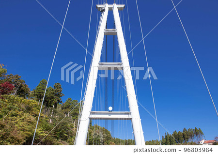 陽光明媚的九重夢吊橋 96803984