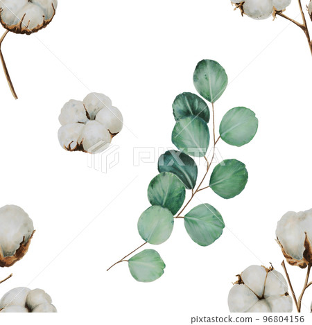 Eucalyptus and cotton watercolor seamless pattern. Hand drawn clipart isolated on white background. Holiday winter and autumn print. For wedding invitation, textile, scrapbooking, card, invitation Eucalyptus and cotton watercolor seamless pattern. Hand drawn clipart isolated on white background. Holiday winter and autumn print. For wedding invitation, textile, scrapbooking, card, invitation 96804156