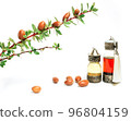 Cosmetic means: authentics oriental bottles with cosmetic oil, argan nuts and green leaves of argania spinosa tree on isolated background.  96804159