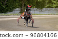 Jockey and horse. Trotting horse race. Race in harness with a sulky or racing bike. Harness racing. Trotting horse race. Sport banner 96804166