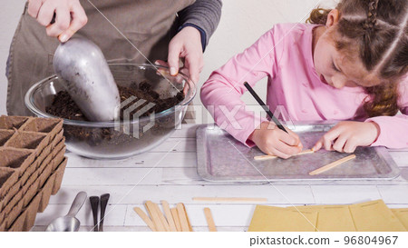 Little girl helping to plant herb seeds into small containers for a homeschool project. 96804967