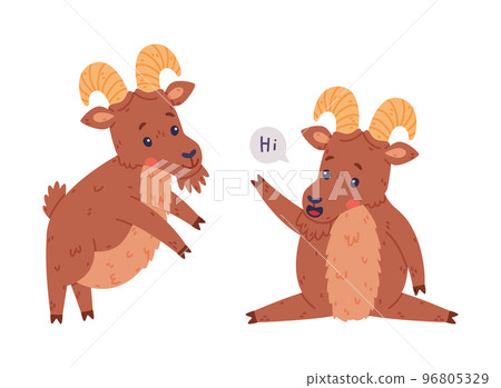 Urial Character as Wild Mountain Sheep with Horns Sitting and Greeting Vector Set Urial Character as Wild Mountain Sheep with Horns Sitting and Greeting Vector Set 96805329