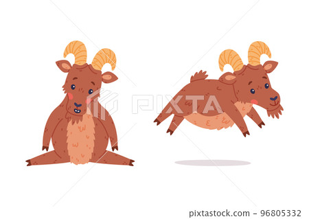 Urial Character as Wild Mountain Sheep with Horns Sitting and Jumping Vector Set Urial Character as Wild Mountain Sheep with Horns Sitting and Jumping Vector Set 96805332