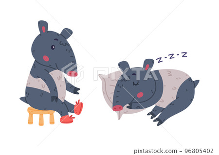 Cute Grey Tapir Animal with Proboscis Wearing Shoes and Sleeping on Pillow Vector Set Cute Grey Tapir Animal with Proboscis Wearing Shoes and Sleeping on Pillow Vector Set 96805402