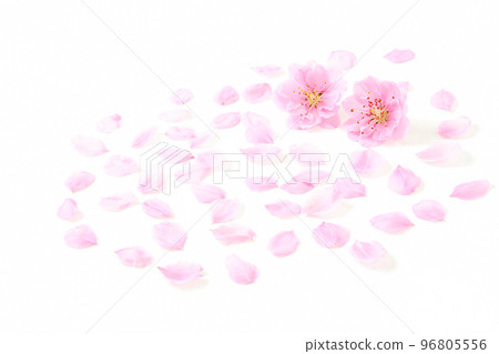 Peach petals 96805556