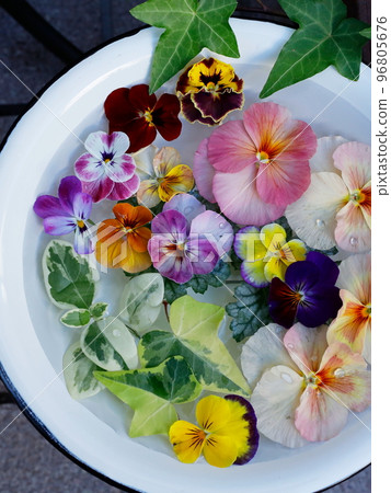 Gorgeous pansy and viola flower wash water Gorgeous pansy and viola flower wash water 96805676