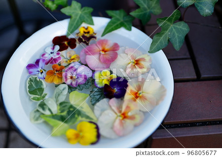 Gorgeous pansy and viola flower wash water Gorgeous pansy and viola flower wash water 96805677