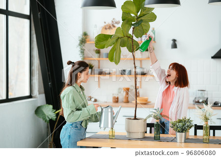 Two young women is taking care of houseplants watering and spraying with water. Two young women is taking care of houseplants watering and spraying with water. 96806080