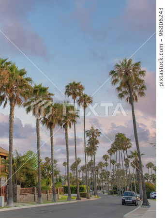 Vertical Puffy clouds at sunset Residential area at La Jolla in California with palm trees along 96806243