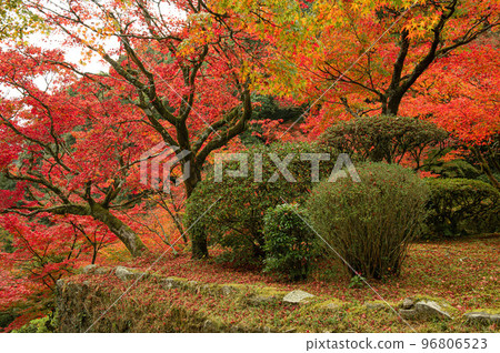 紅葉季節的九年南 96806523