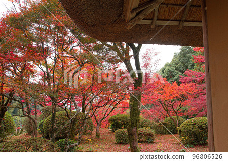 Kunenan during the autumn leaves season Kunenan during the autumn leaves season 96806526