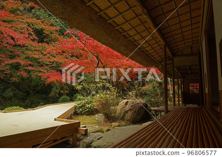 Kunenan during the autumn leaves season Kunenan during the autumn leaves season 96806577