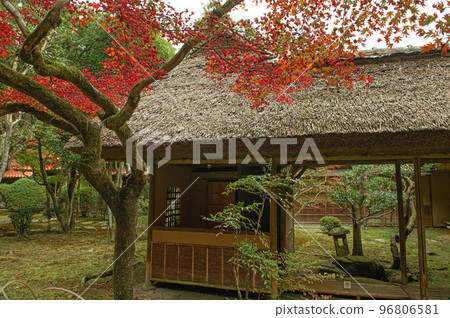 Kunenan during the autumn leaves season Kunenan during the autumn leaves season 96806581