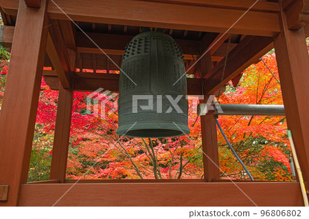 Niiyama Jizo-in Temple in autumn leaves season 96806802