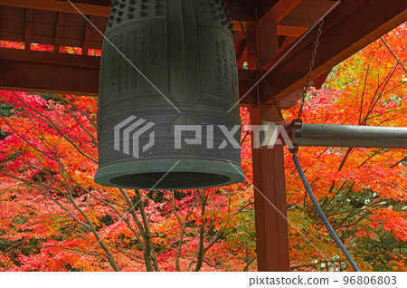 Niiyama Jizo-in Temple in autumn leaves season Niiyama Jizo-in Temple in autumn leaves season 96806803