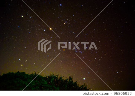 Winter Starry Sky / Orion 96806933