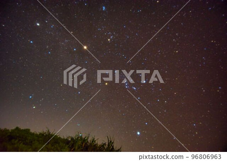 Winter Starry Sky / Orion 96806963