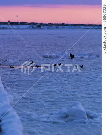 Nemuro Port at dusk covered with drift ice / Nemuro, Japan 96807329