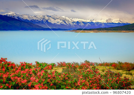 Snowcapped Andes and Lake Argentina near El calafate, Patagonia landscape 96807420