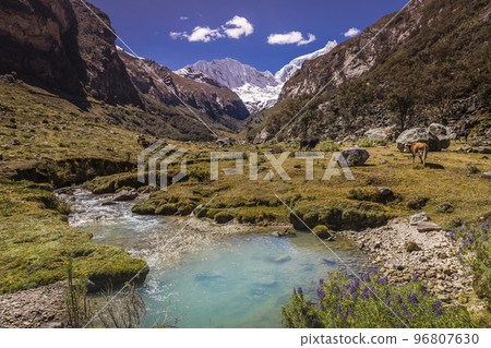 River and Huascaran massif in Cordillera Blanca, snowcapped Andes, Ancash, Peru 96807630