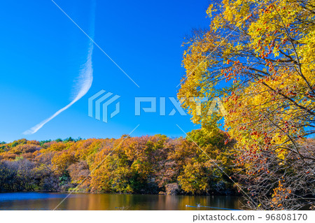 Autumn of the forest park 96808170