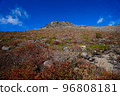 Plants with autumn leaves growing on the rock surface and the rock mass at the top 96808181
