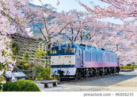 Yamanashi Prefecture's Jinroku Cherry Blossoms ~Electric Locomotive at Jinroku Park~ 96808235