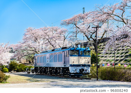 Yamanashi Prefecture's Jinroku Cherry Blossoms ~Electric Locomotive at Jinroku Park~ 96808240