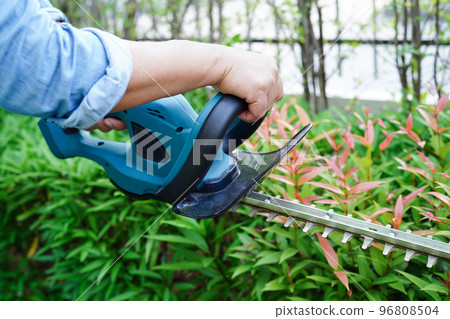 Gardener trimming bush by electric hedge clippers in garden. Hobby at home. Gardener trimming bush by electric hedge clippers in garden. Hobby at home. 96808504