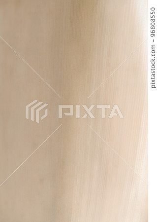 Background material of the skin of the type of bamboo, Houraichiku (Horai bamboo) 96808550