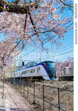 Yamanashi Prefecture's Jinrokuzakura Limited Express Azusa passing through Katsunuma-Budokyo Station 96808599