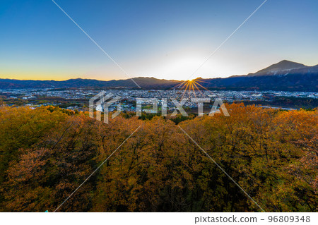 Morning at Chichibu Muse Park Morning at Chichibu Muse Park 96809348