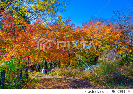 Arashiyama谷的秋葉 96809409