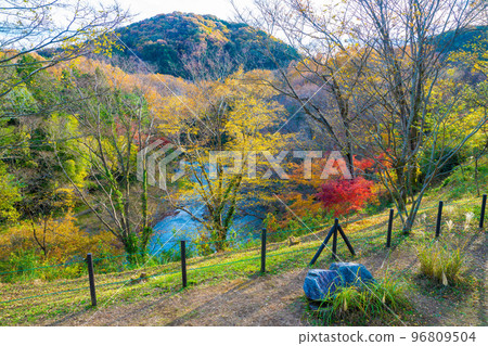 Arashiyama谷的秋葉 Arashiyama谷的秋葉 96809504