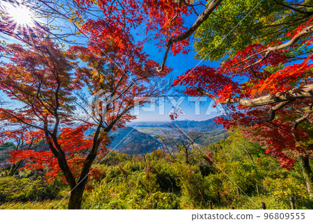 栃木縣太平山的秋天 96809555