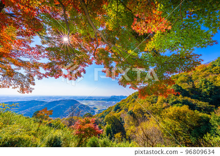 栃木縣太平山的秋天 96809634